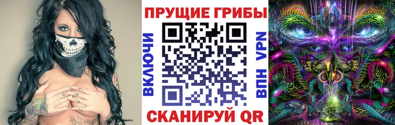 МЕГА ссылки Павловский Посад Псилоцибиновые грибы Psilocybine cubensis